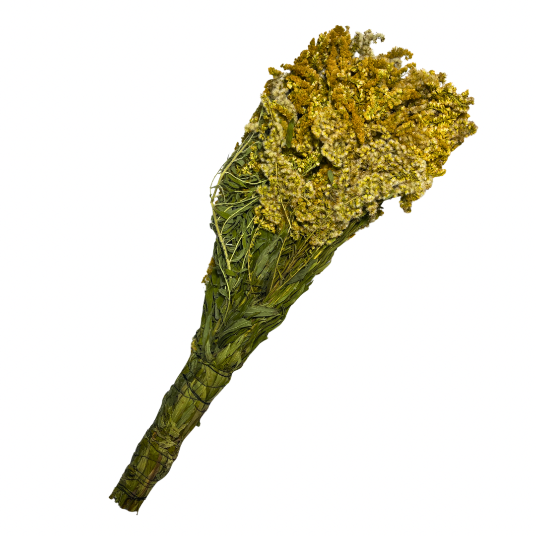 Untitled design - 16